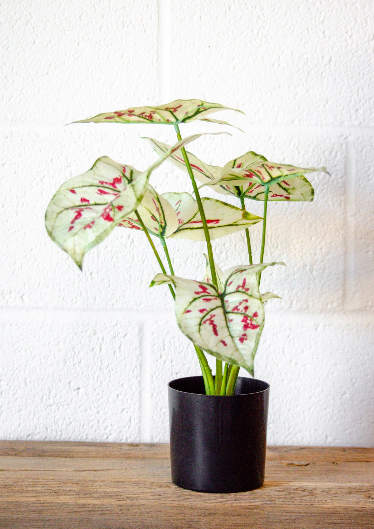 Faux Elephant Ear Potted Plant