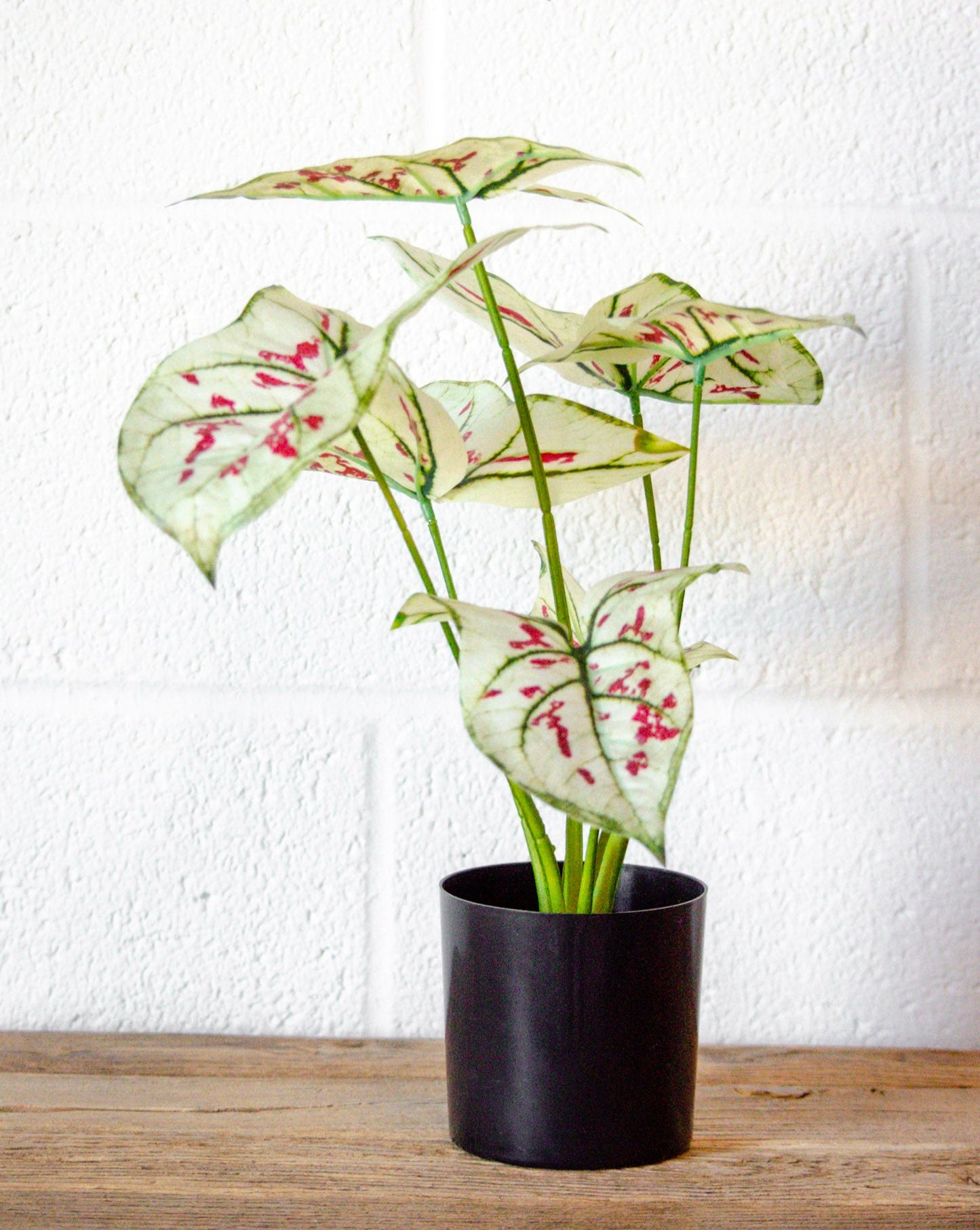 Faux Elephant Ear Potted Plant