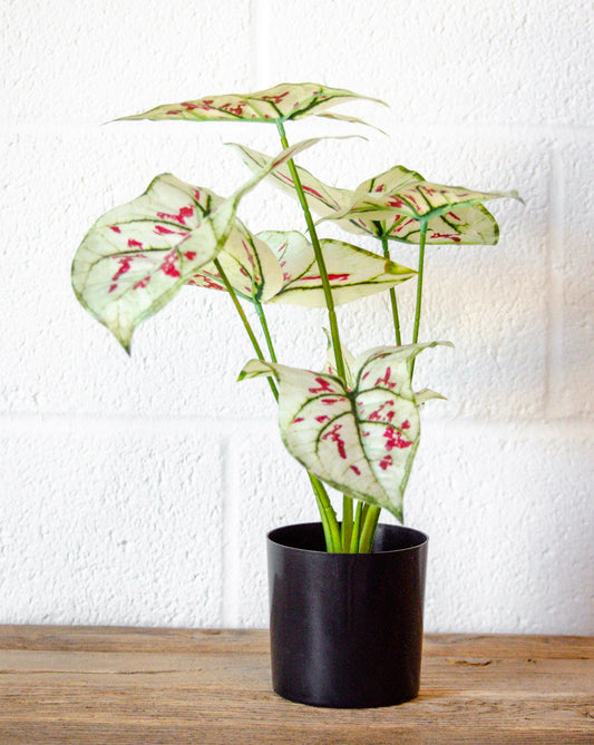 Faux Elephant Ear Potted Plant