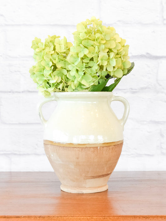 Elena Neutral 2-Handle Jug