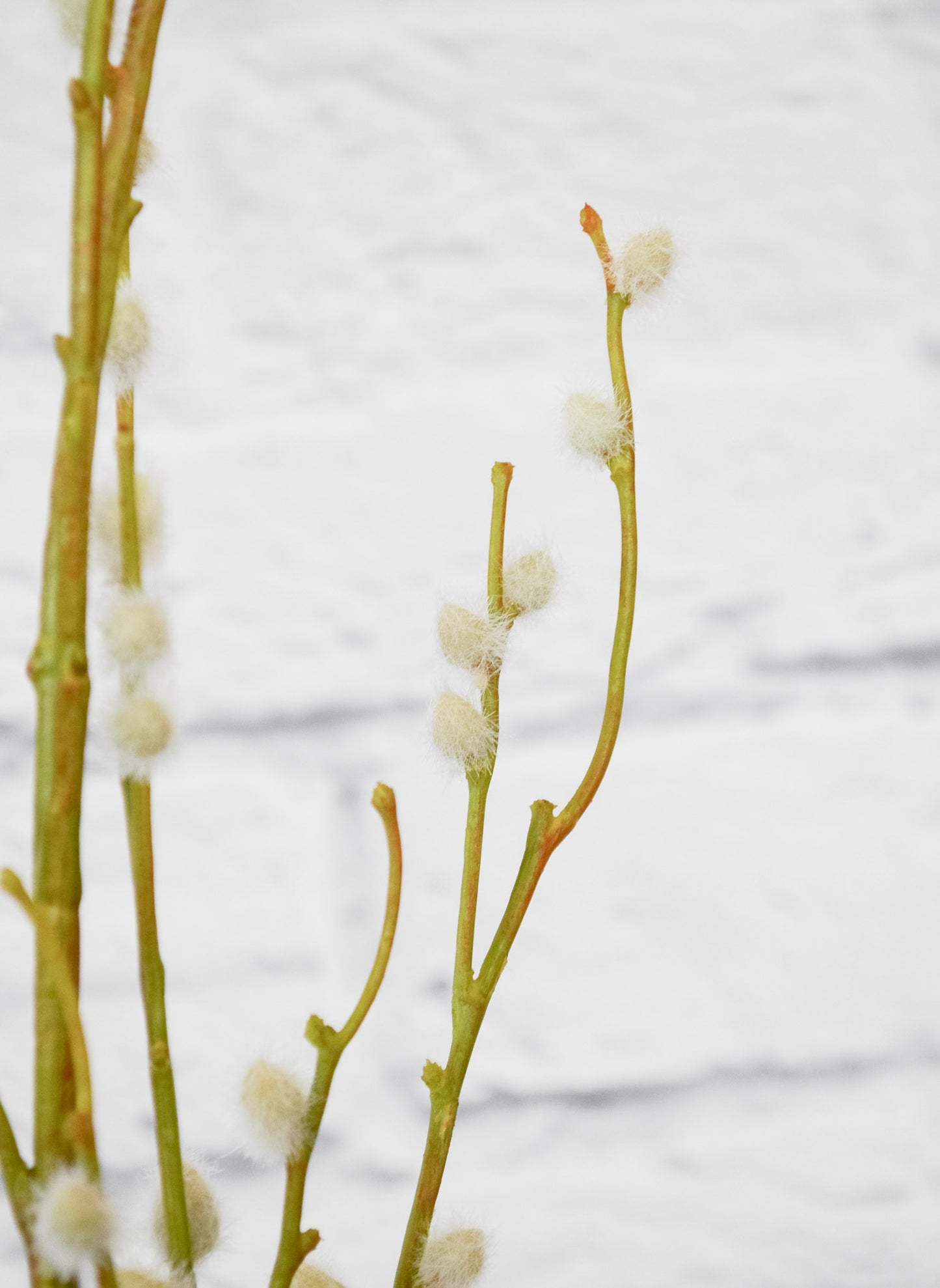 Faux Pussywillow Bundle