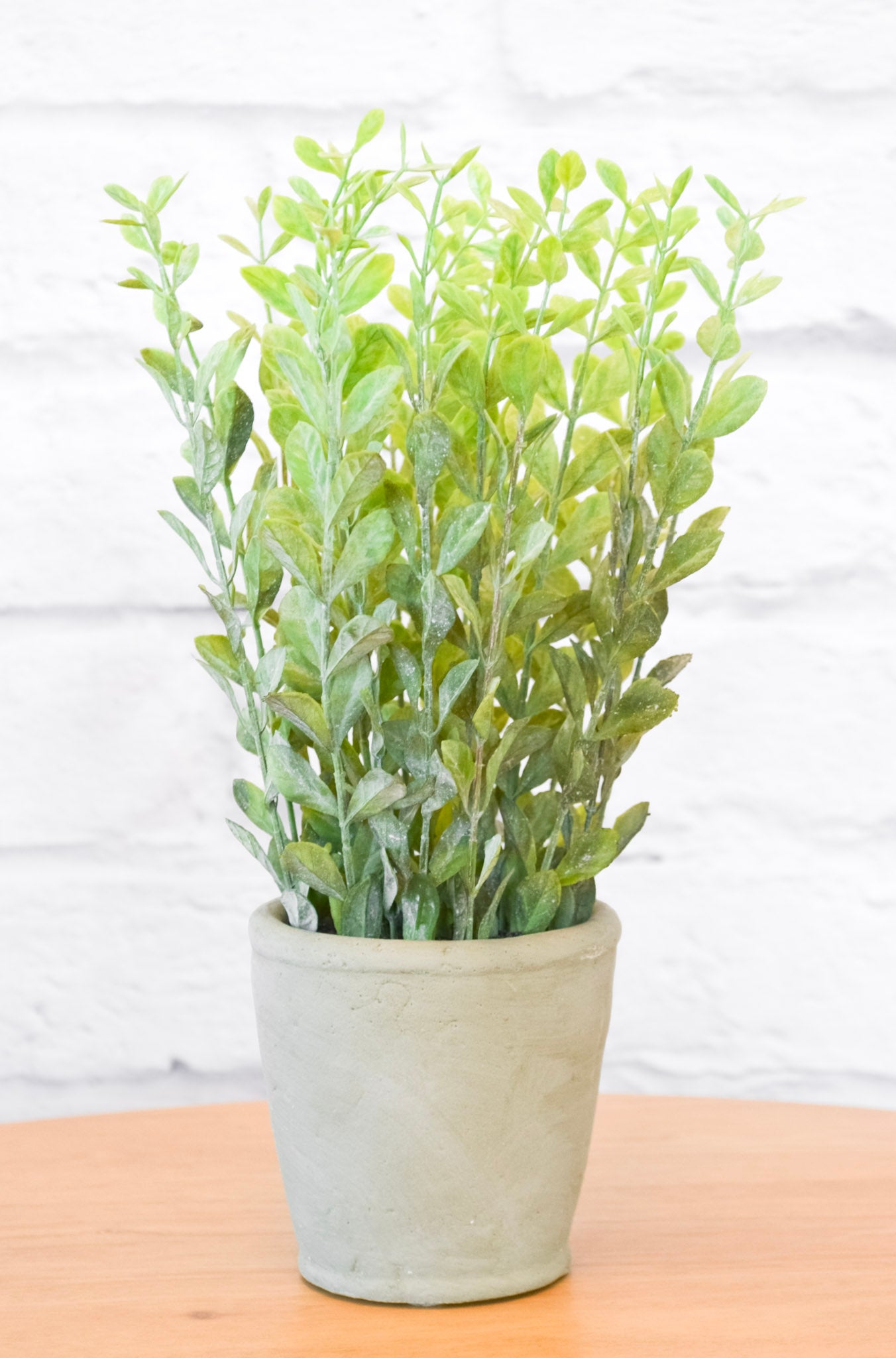 Faux Herb in Cement Pot