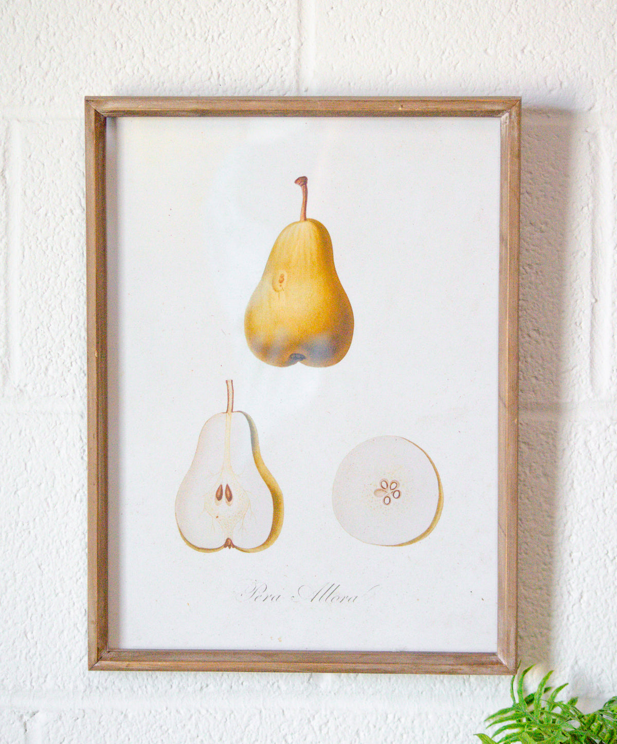 Vintage Inspired Wood & Glass Framed Fruit Print