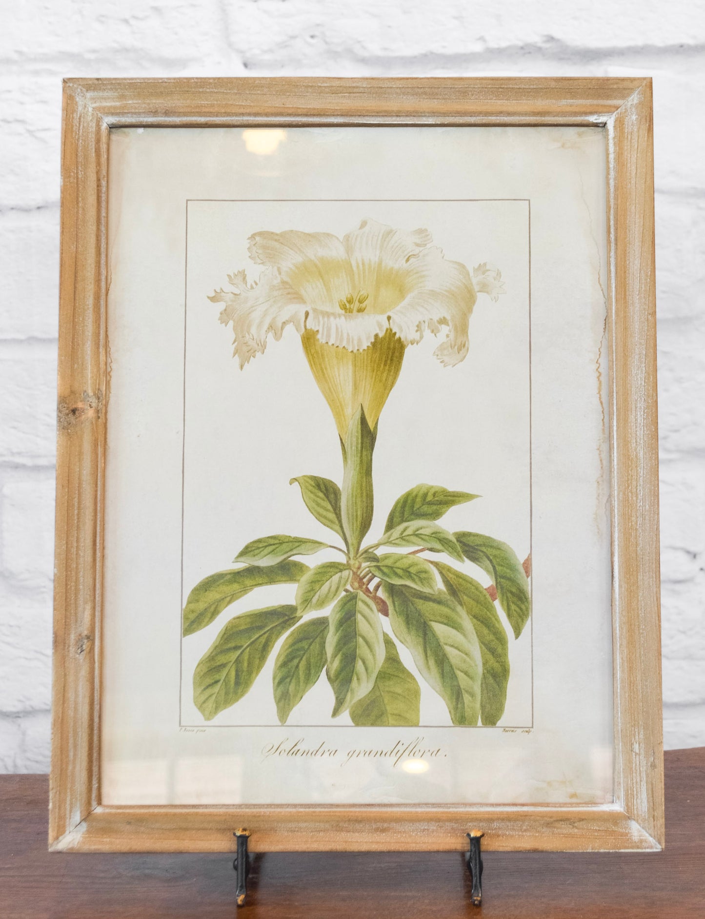 Wood Framed Floral Wall Decor