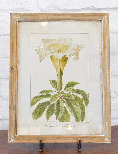 Wood Framed Floral Wall Decor