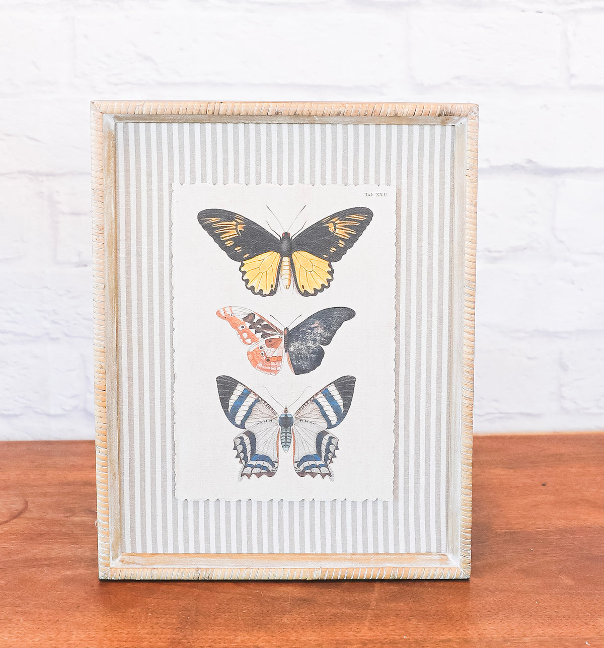 The Butterfly Collection