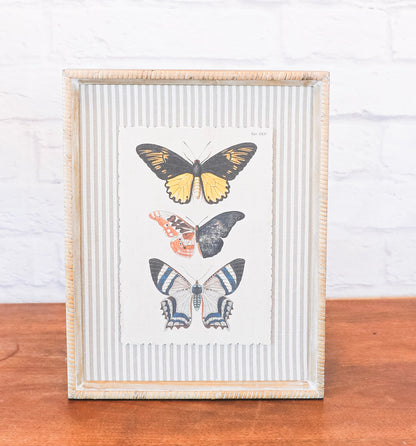 The Butterfly Collection