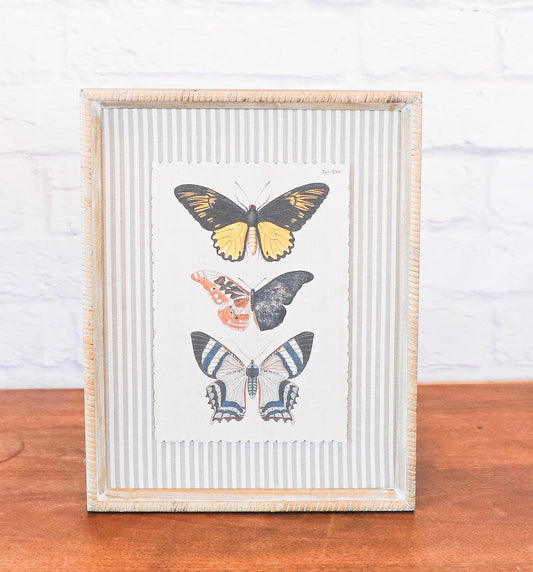 The Butterfly Collection