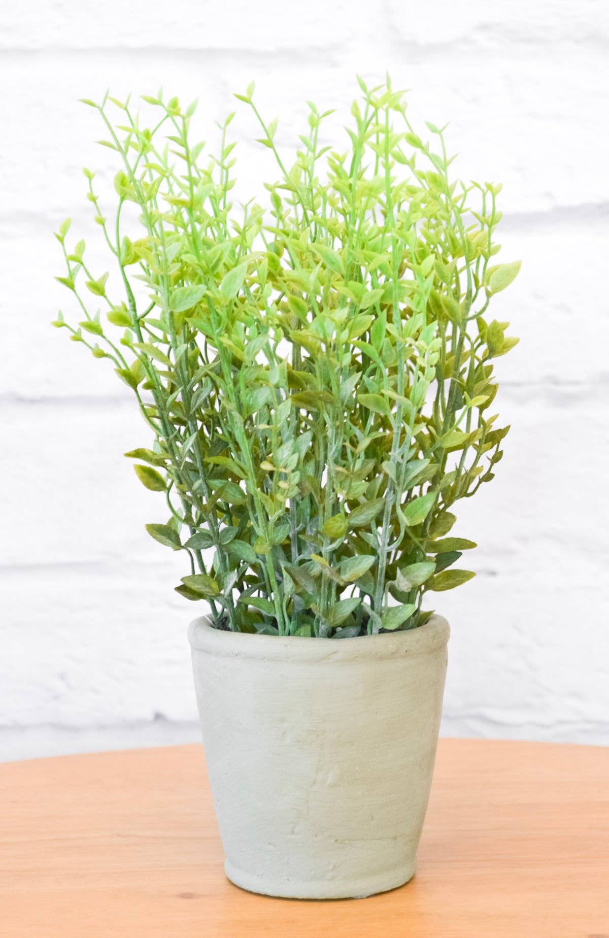 Faux Herb in Cement Pot