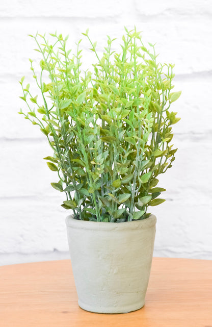 Faux Herb in Cement Pot