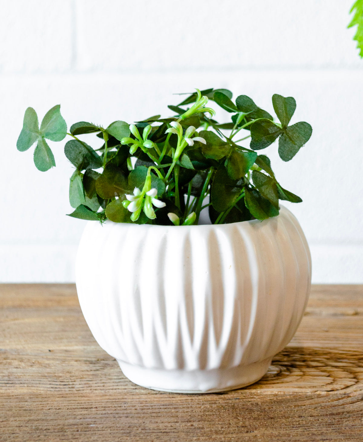 Potted Faux Clover