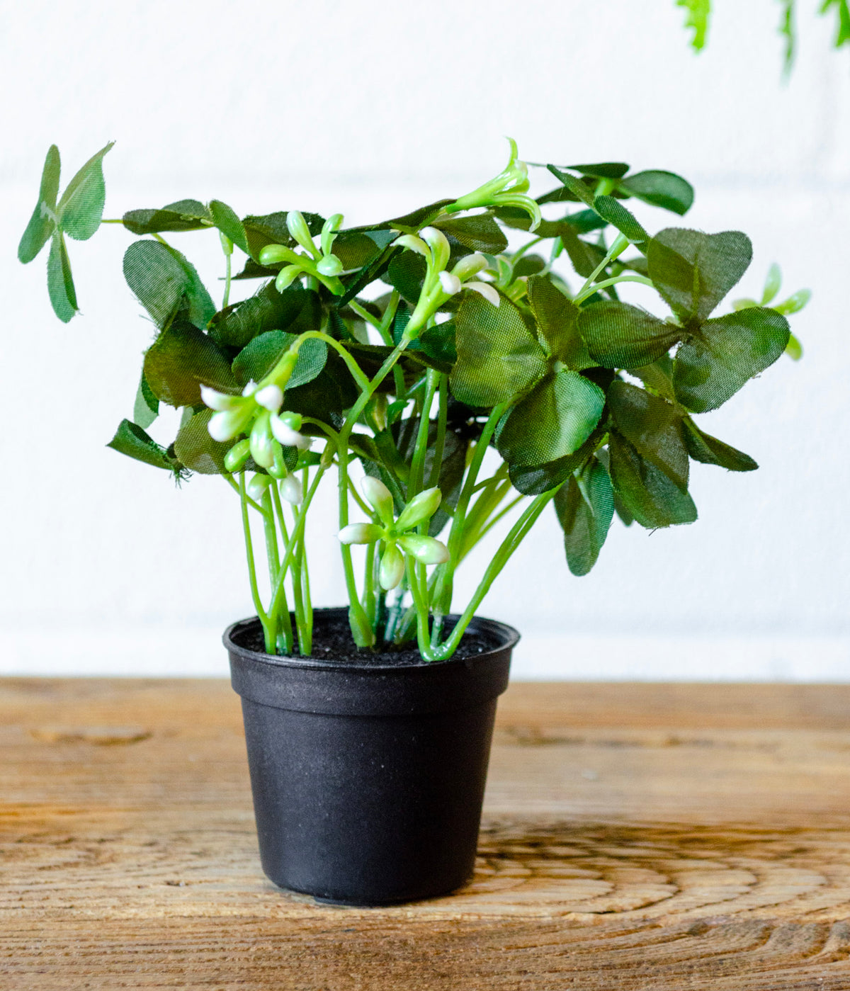 Potted Faux Clover