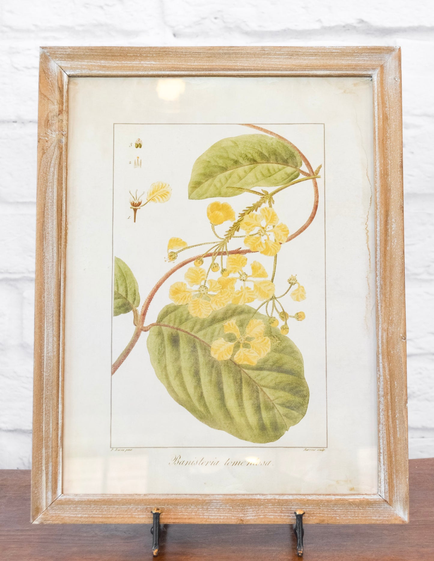 Wood Framed Floral Wall Decor