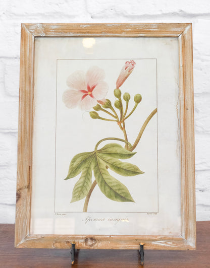 Wood Framed Floral Wall Decor