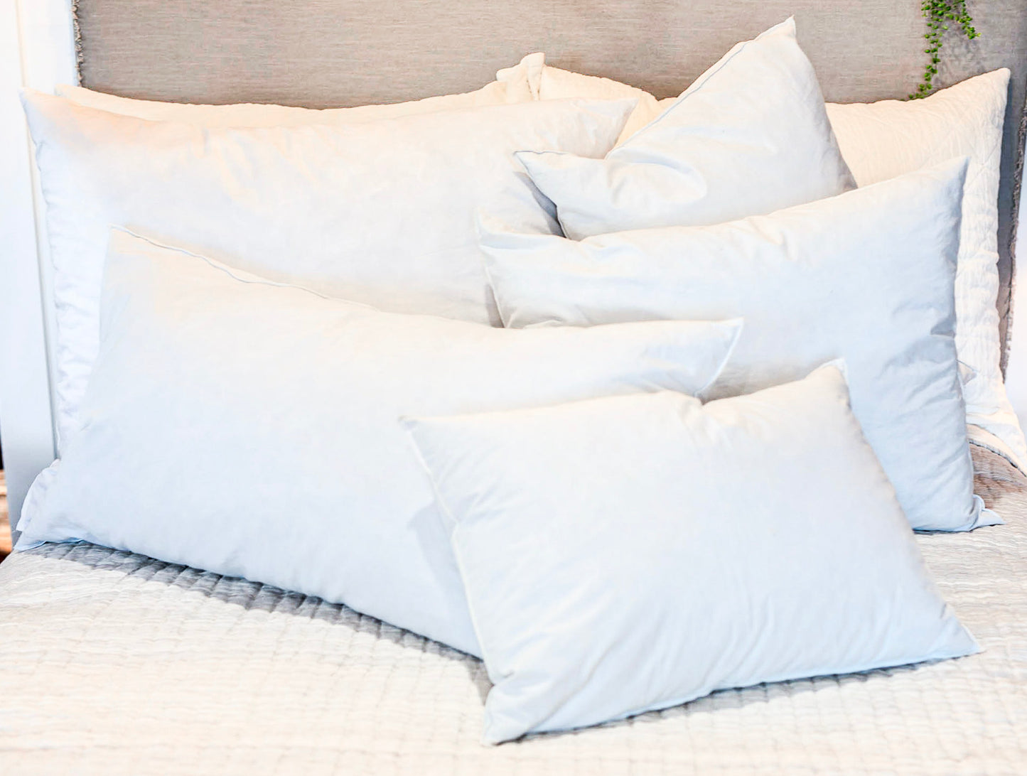 Premium Pillow Insert