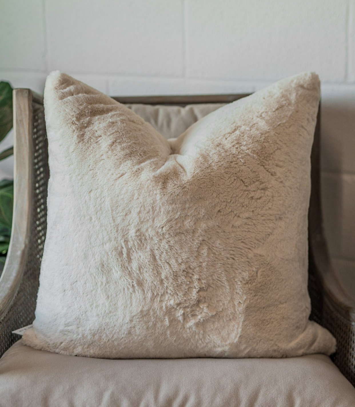 Furocious Throw Pillow