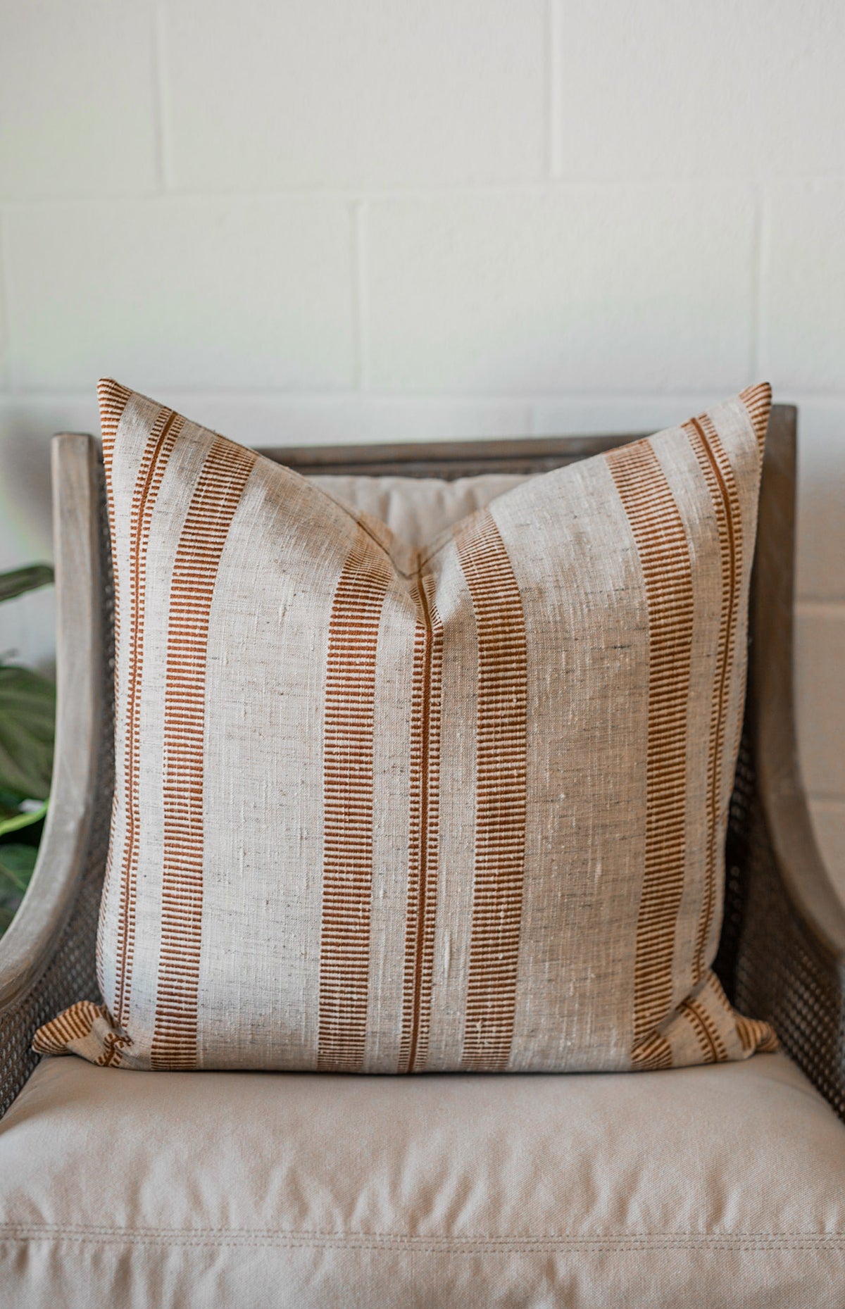 Double Issue Terracotta Pillow