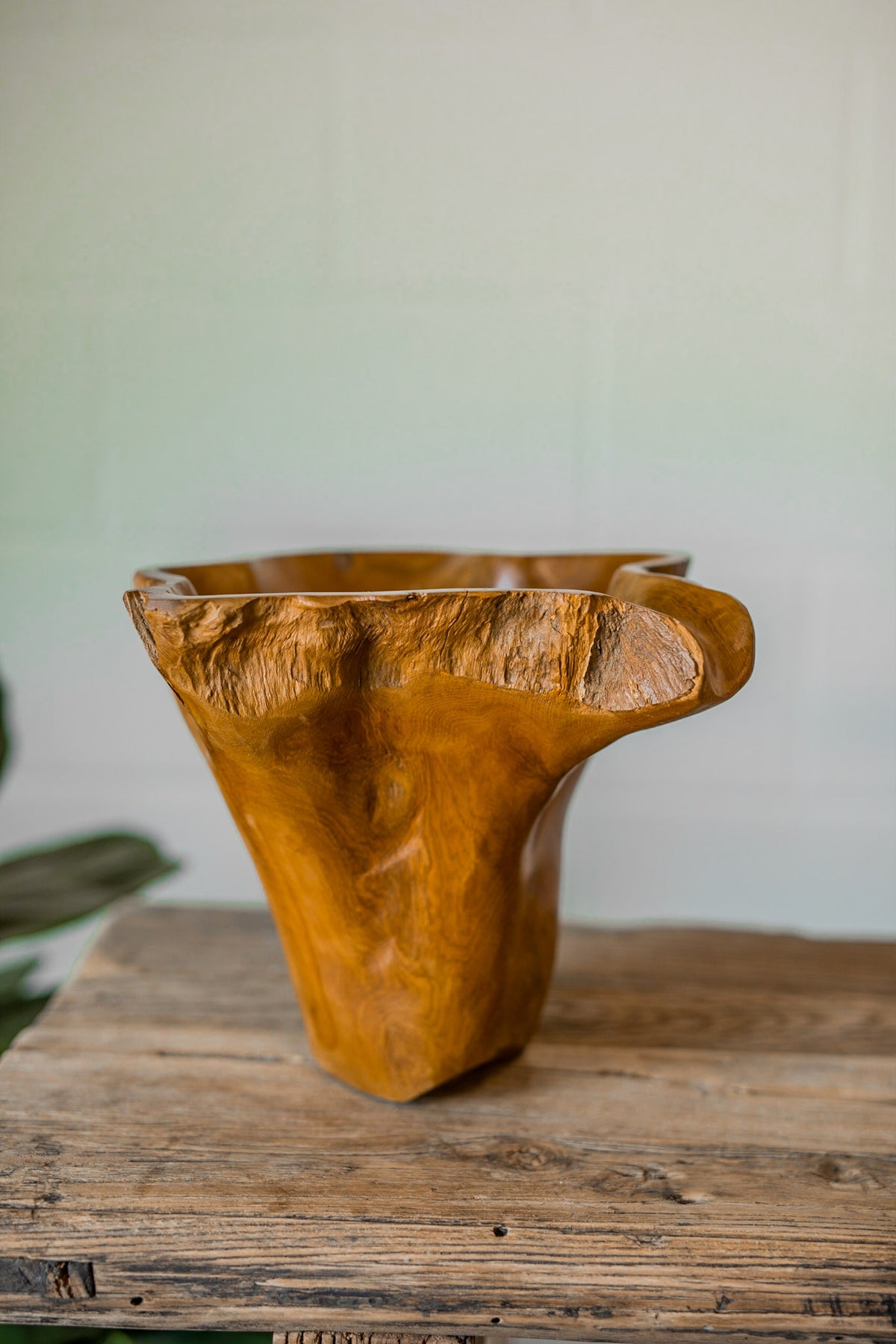 Organic Wood Vase