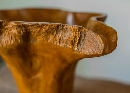Organic Wood Vase