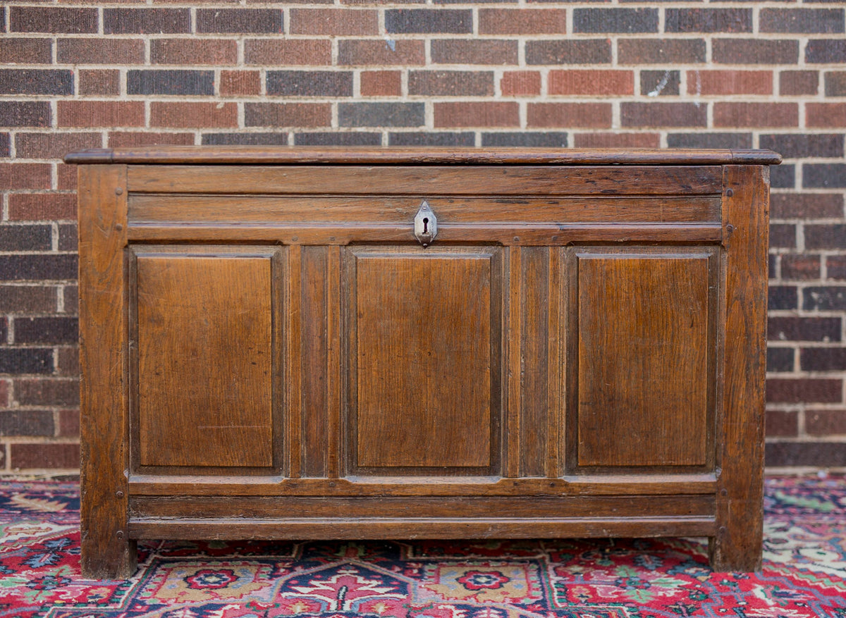 Continental Rustic Paneled Oak Chest