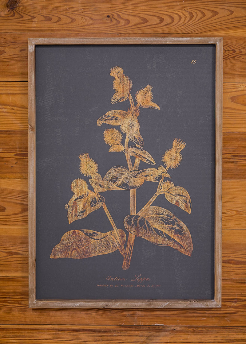 Charcoal Botanical Print