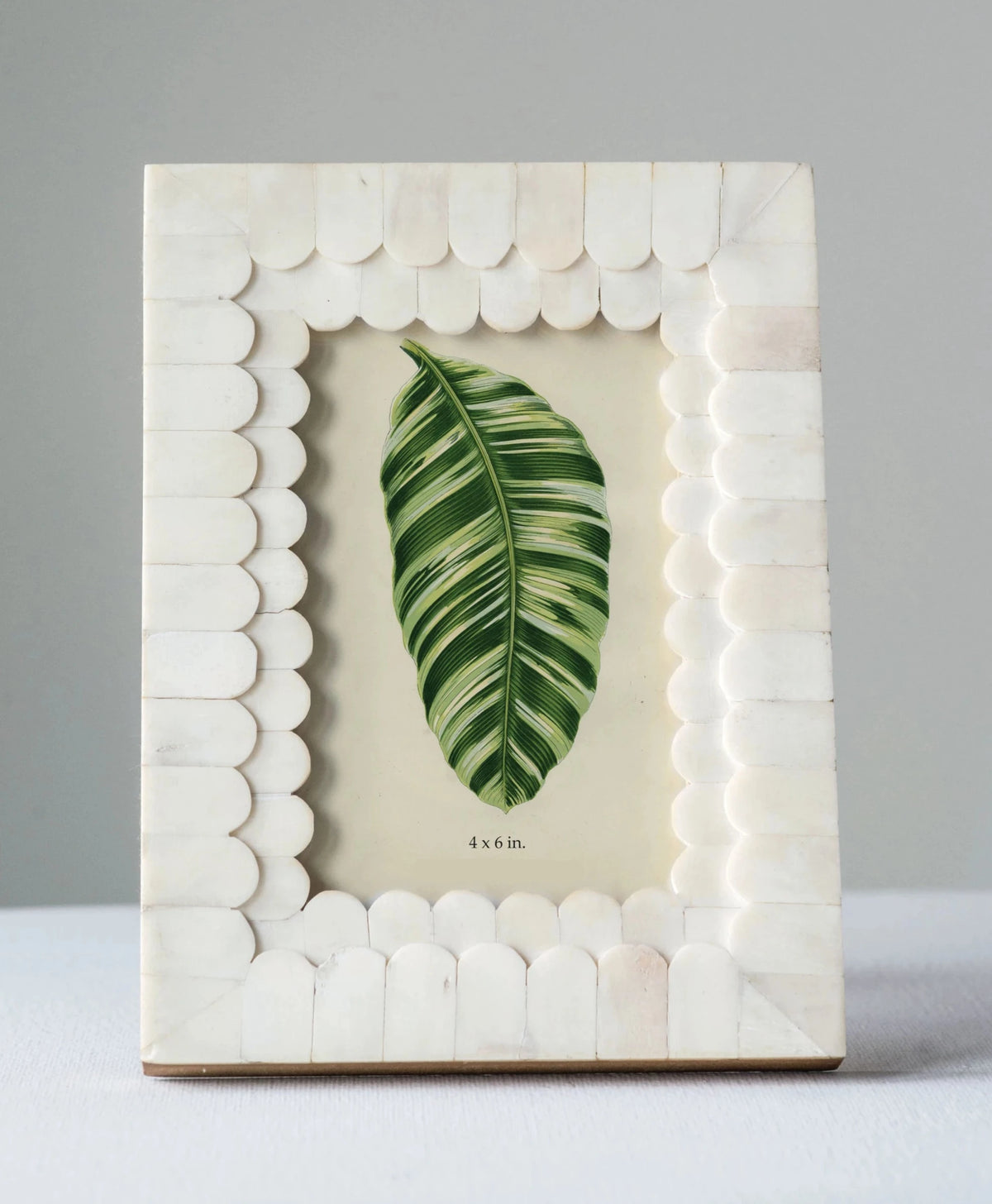 Scalloped Bone Photo Frame