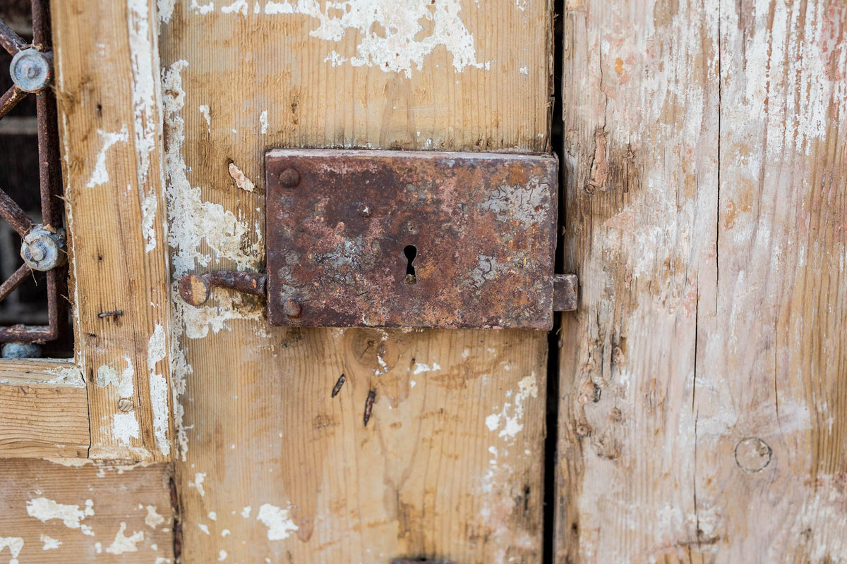Harrow - Primitive Iron Inset Egyptian Wooden Doors