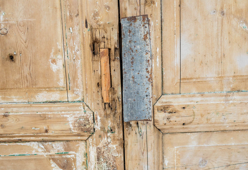 Tamar - Primitive Egyptian Paneled Wooden Doors