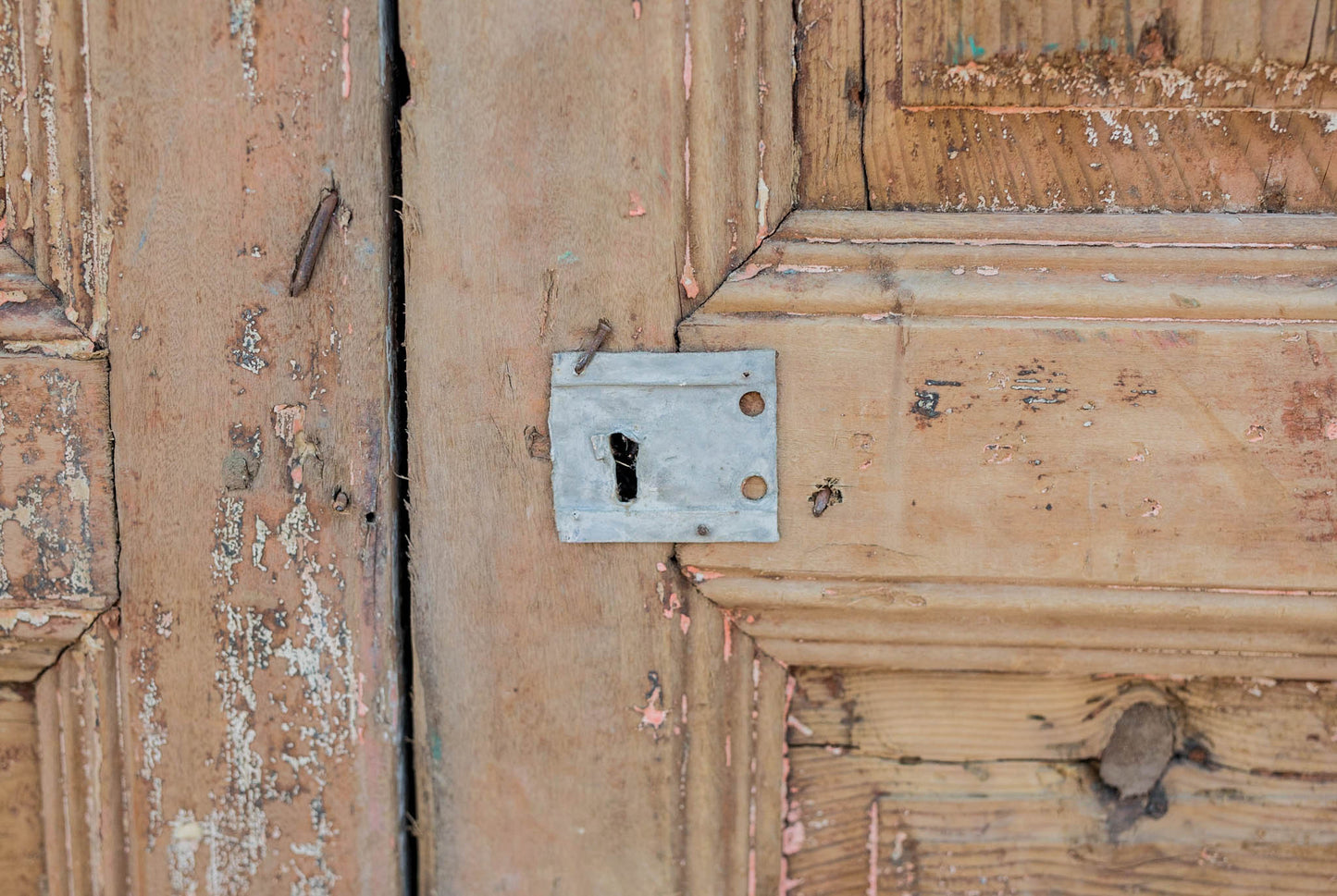 Anton - Primitive Egyptian Paneled Wooden Doors