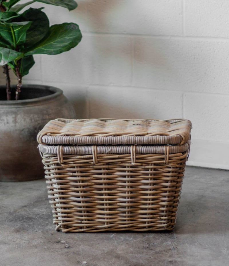 Agnes Storage Trunk