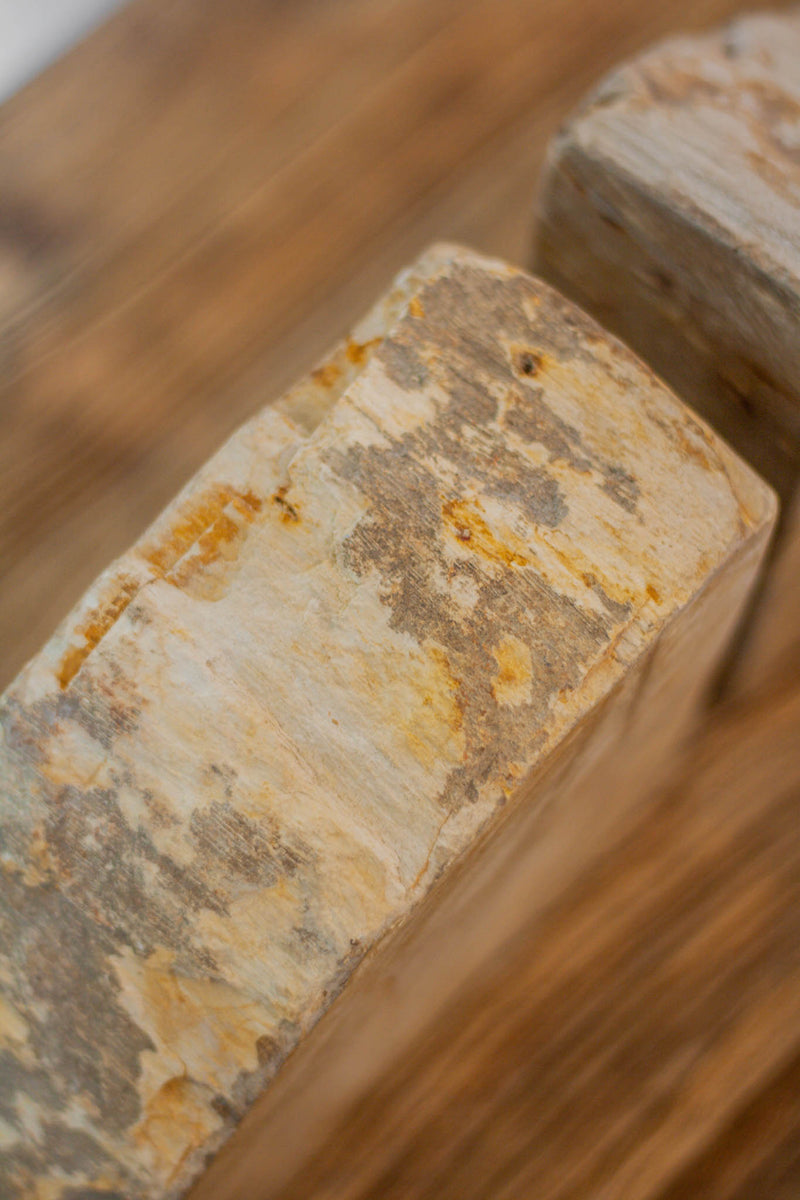 Petrified Wood Bookend Pair