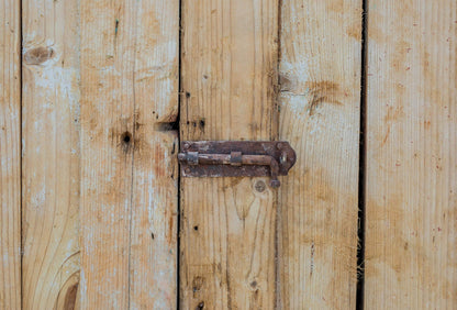 Anton - Primitive Egyptian Paneled Wooden Doors