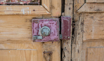 Avi - Primitive Iron Inset Egyptian Wooden Doors