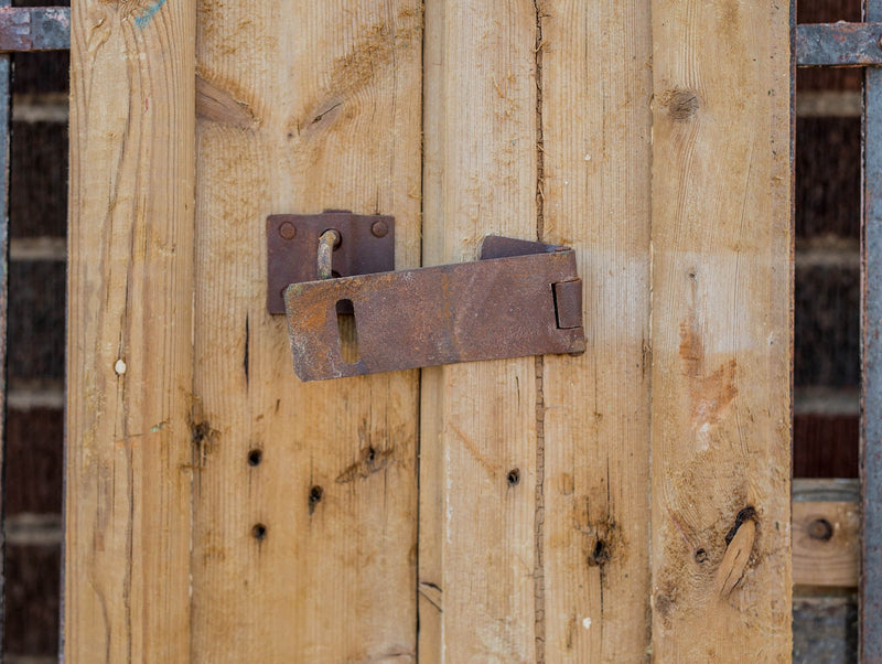 Lian - Primitive Iron Inset Egyptian Wooden Doors