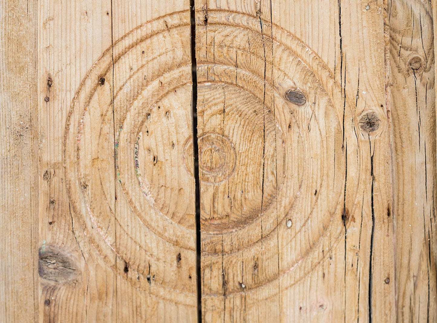 Romi - Primitive Iron Inset Egyptian Wooden Doors