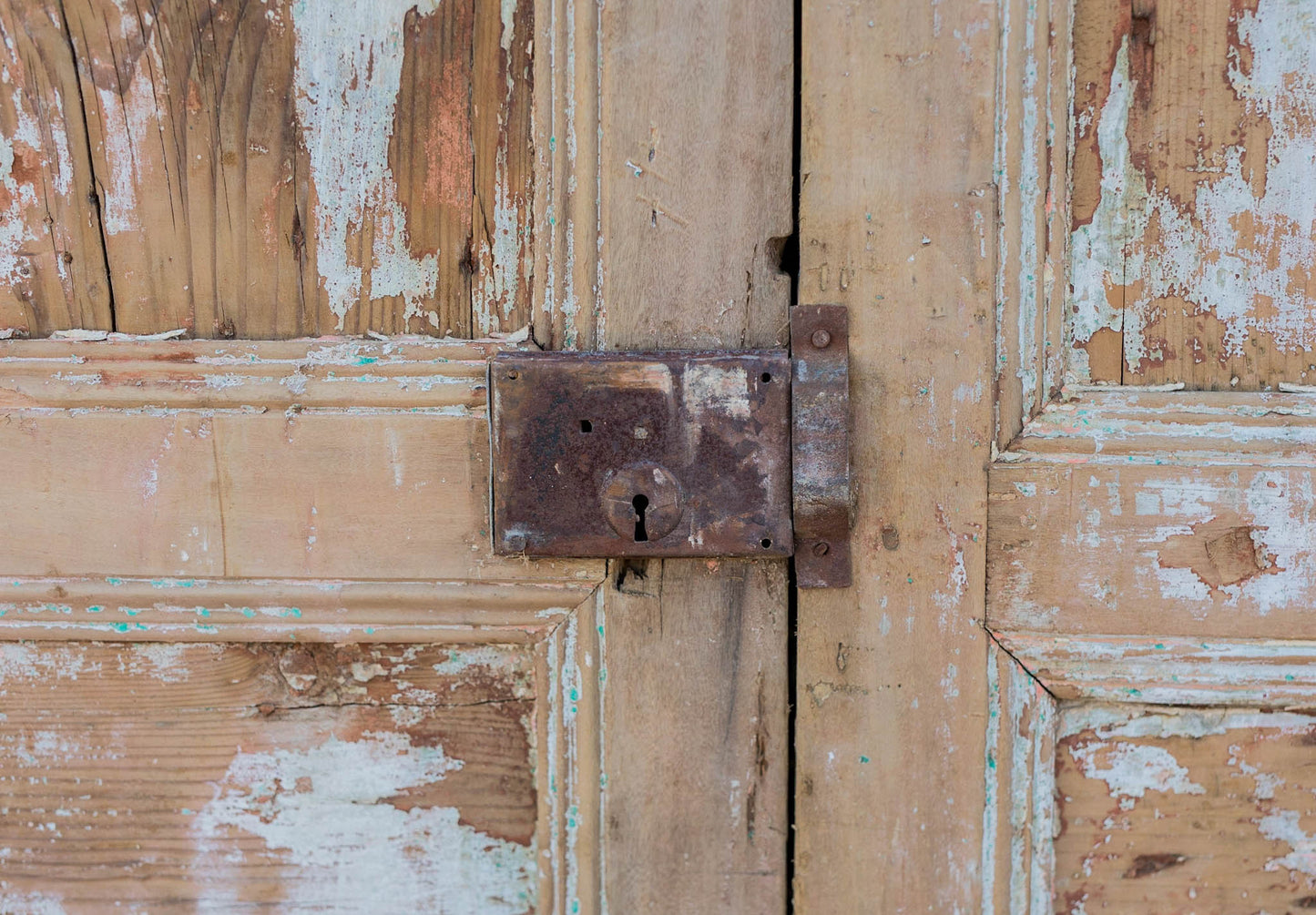 Shira - Primitive Egyptian Paneled Wooden Doors