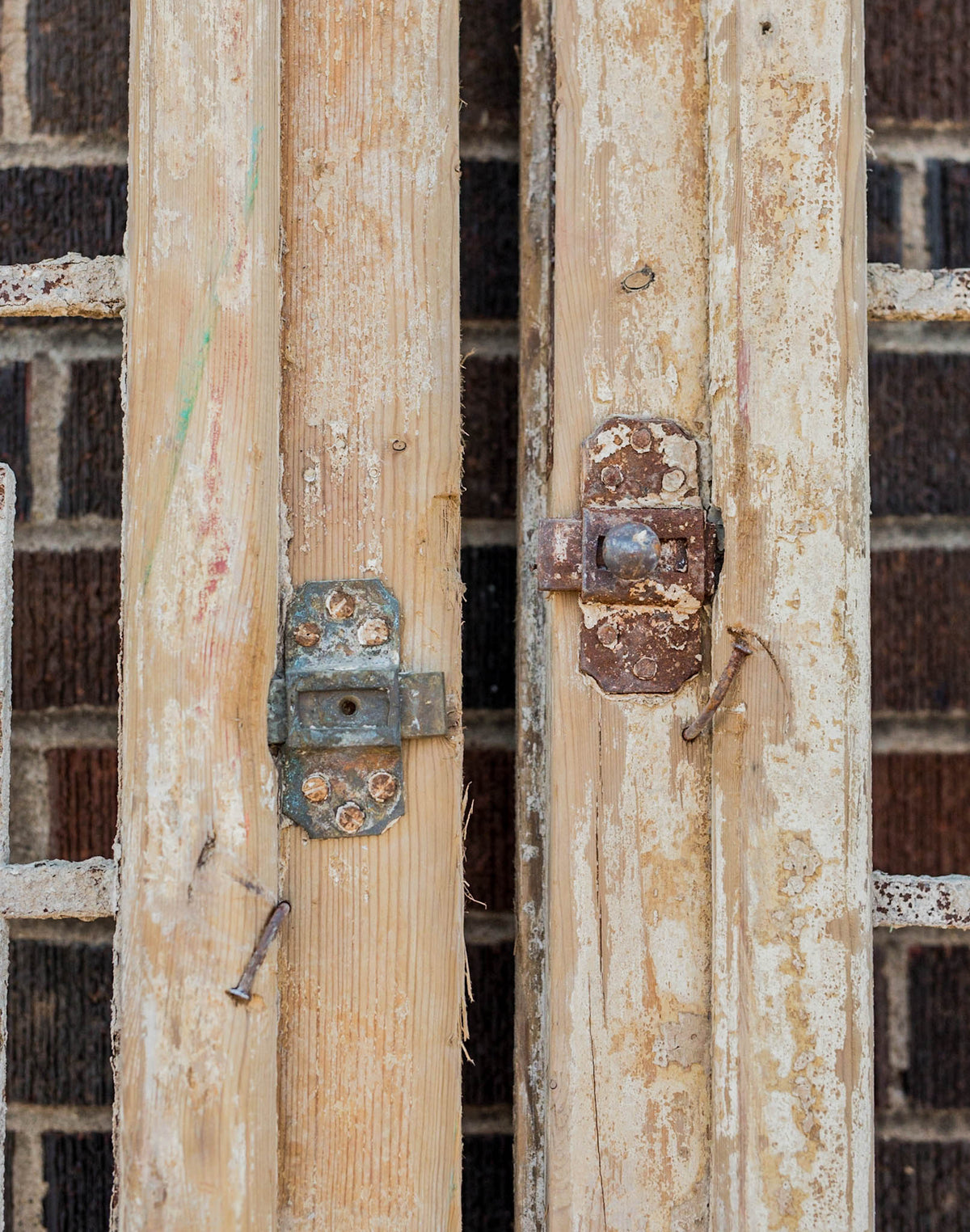 Mose - Primitive Iron Inset Egyptian Wooden Doors