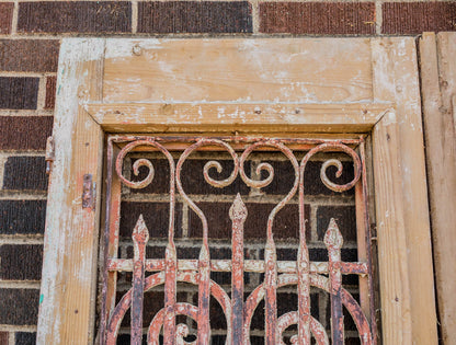 Avi - Primitive Iron Inset Egyptian Wooden Doors