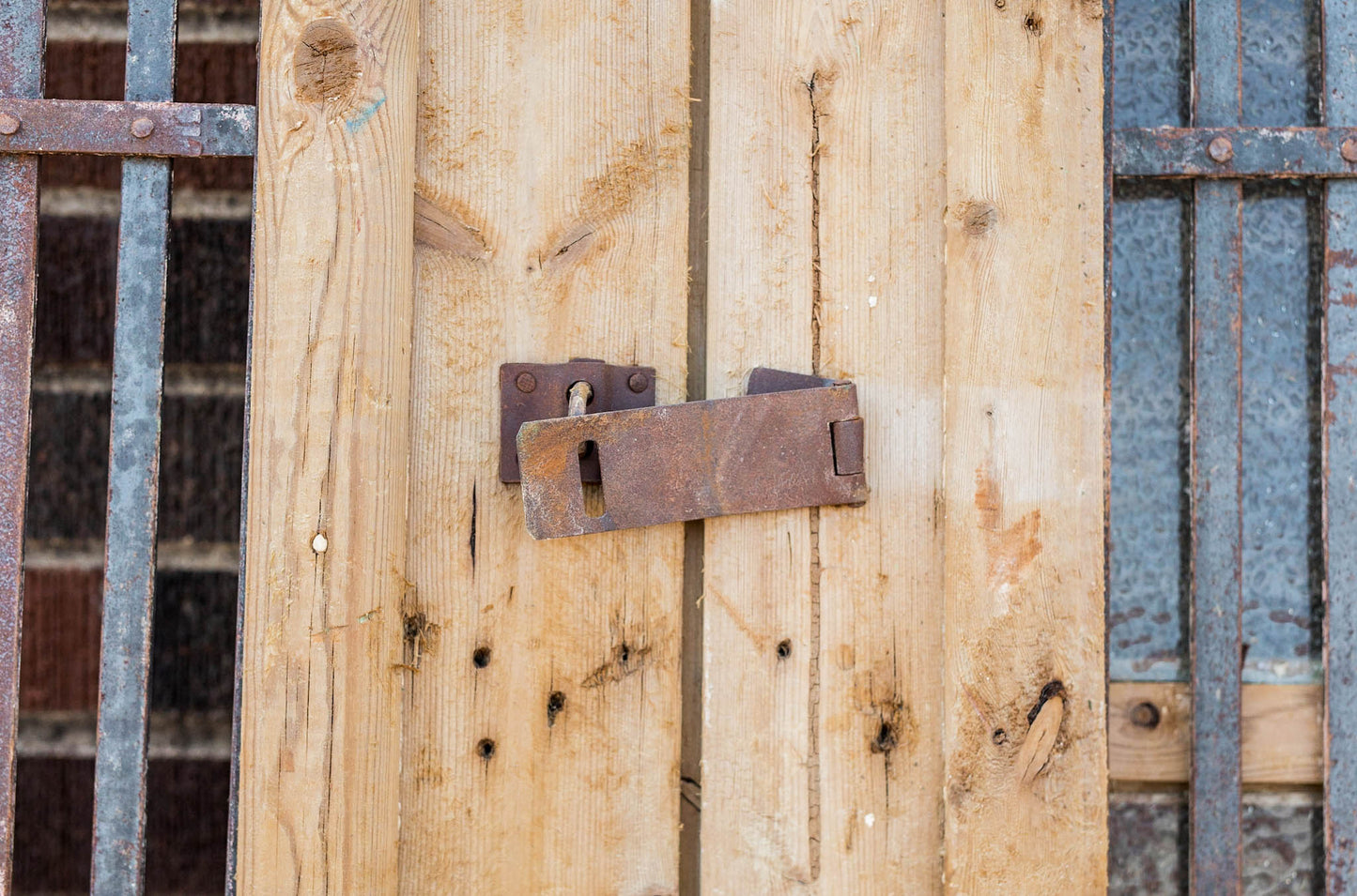 Lian - Primitive Iron Inset Egyptian Wooden Doors