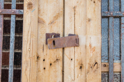 Lian - Primitive Iron Inset Egyptian Wooden Doors