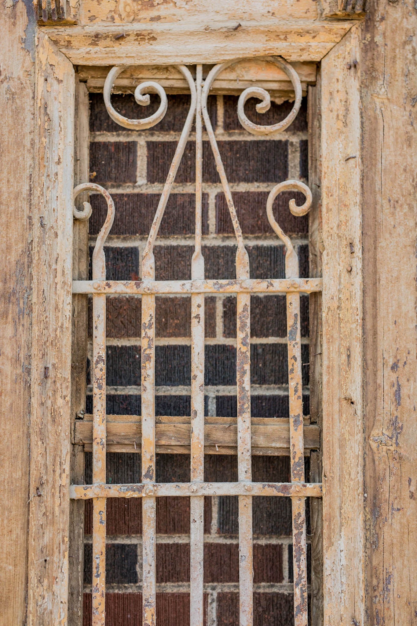 Minya - Primitive Iron Inset Egyptian Wooden Doors