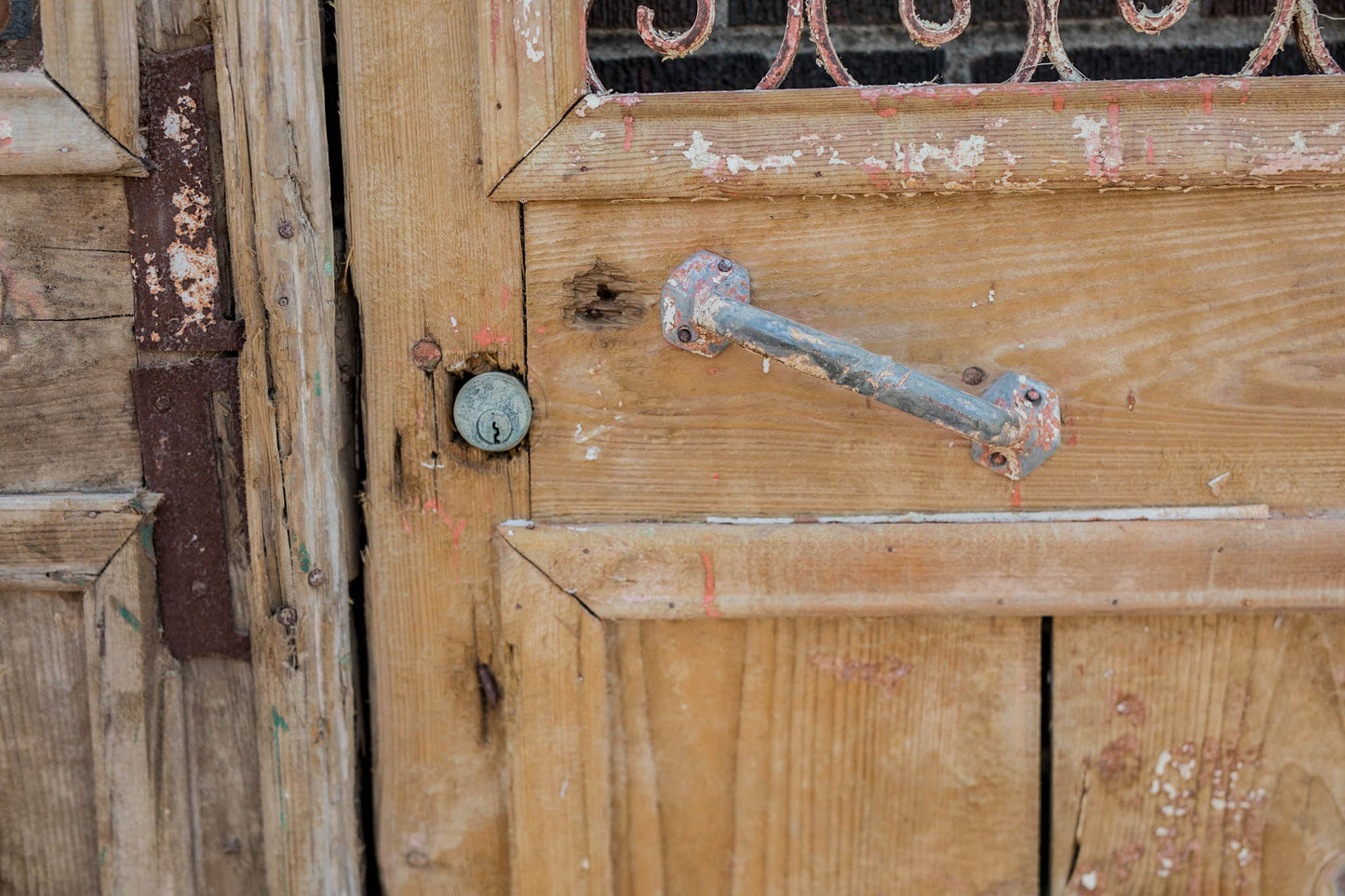 Avi - Primitive Iron Inset Egyptian Wooden Doors