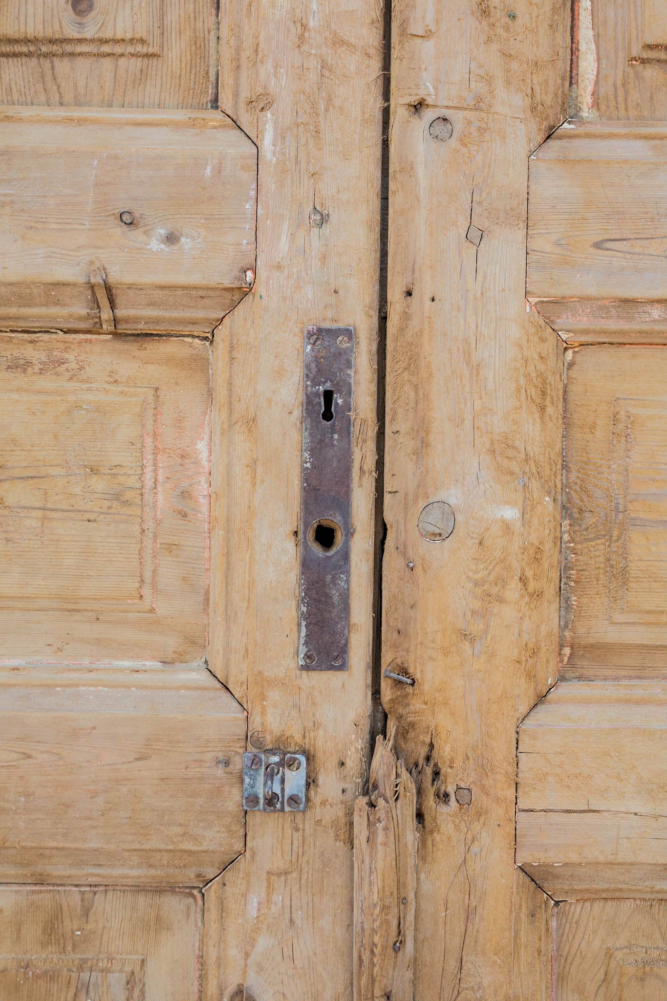 Anton - Primitive Egyptian Paneled Wooden Doors