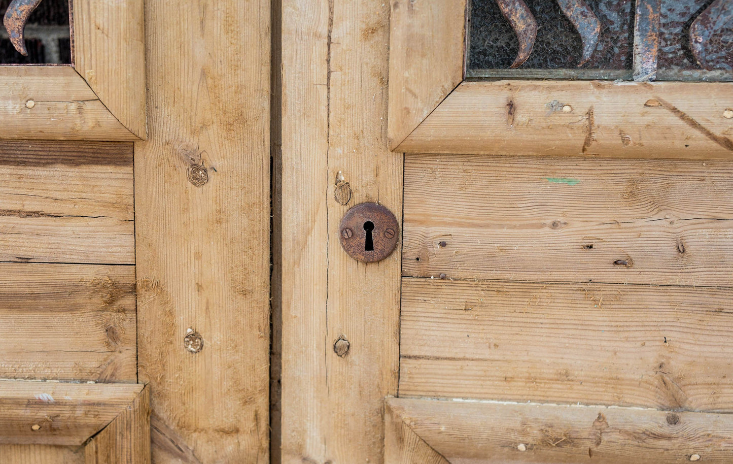 Lian - Primitive Iron Inset Egyptian Wooden Doors