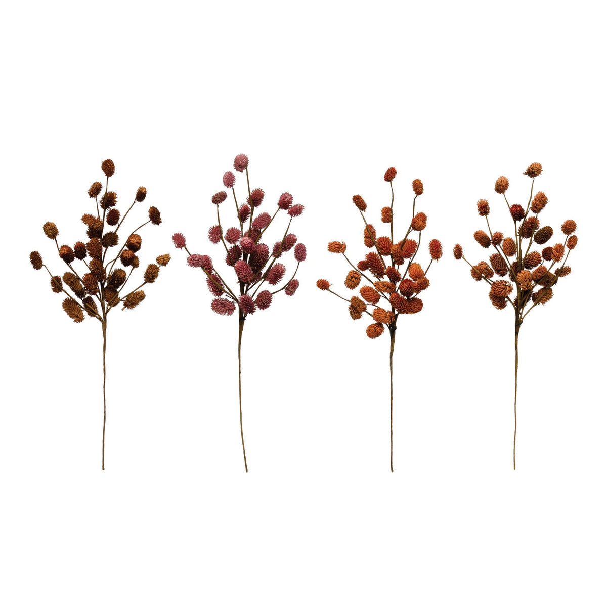 Autumnal Dried Natural Thistle Branch