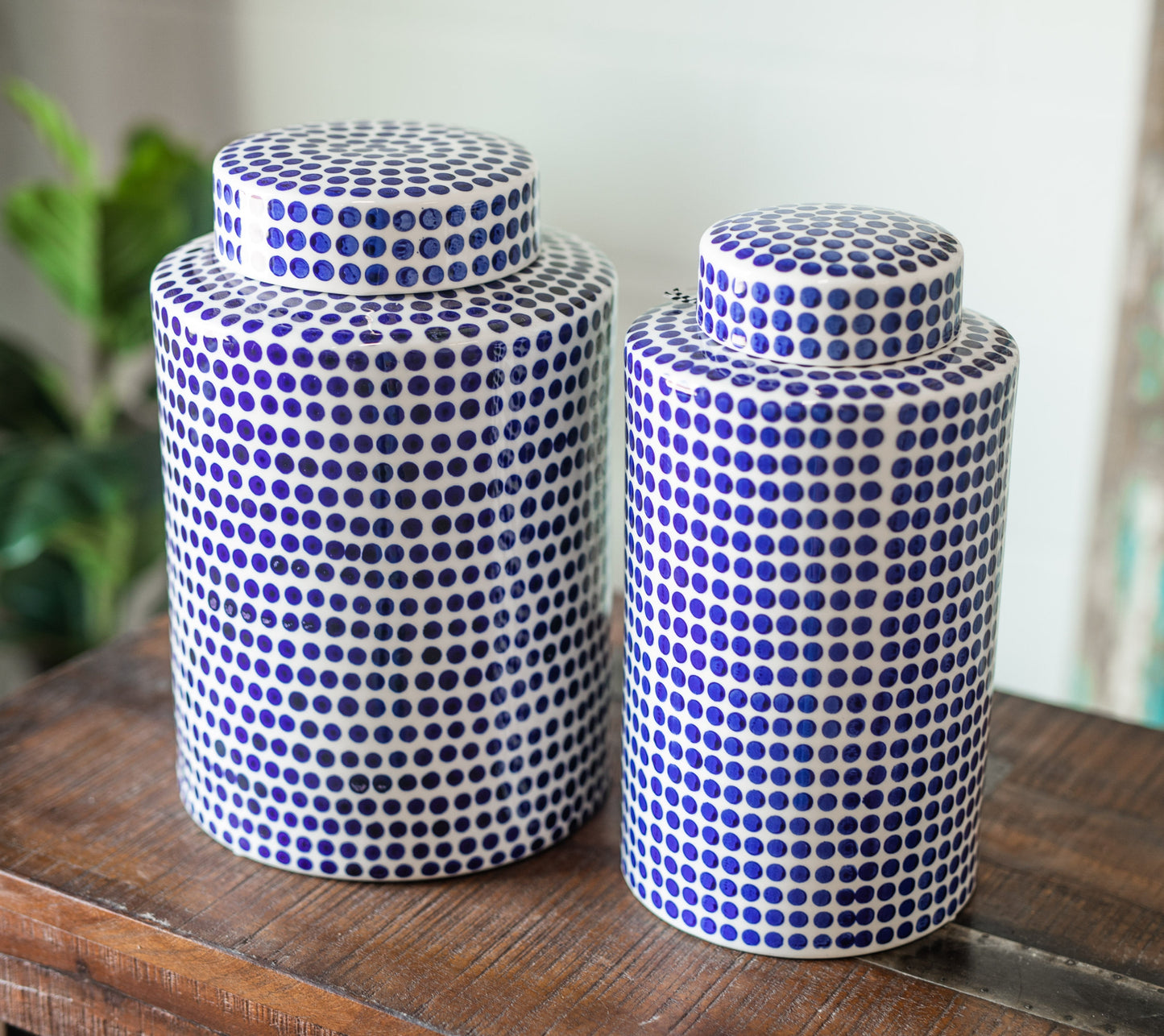 BB Dover Dot Collection