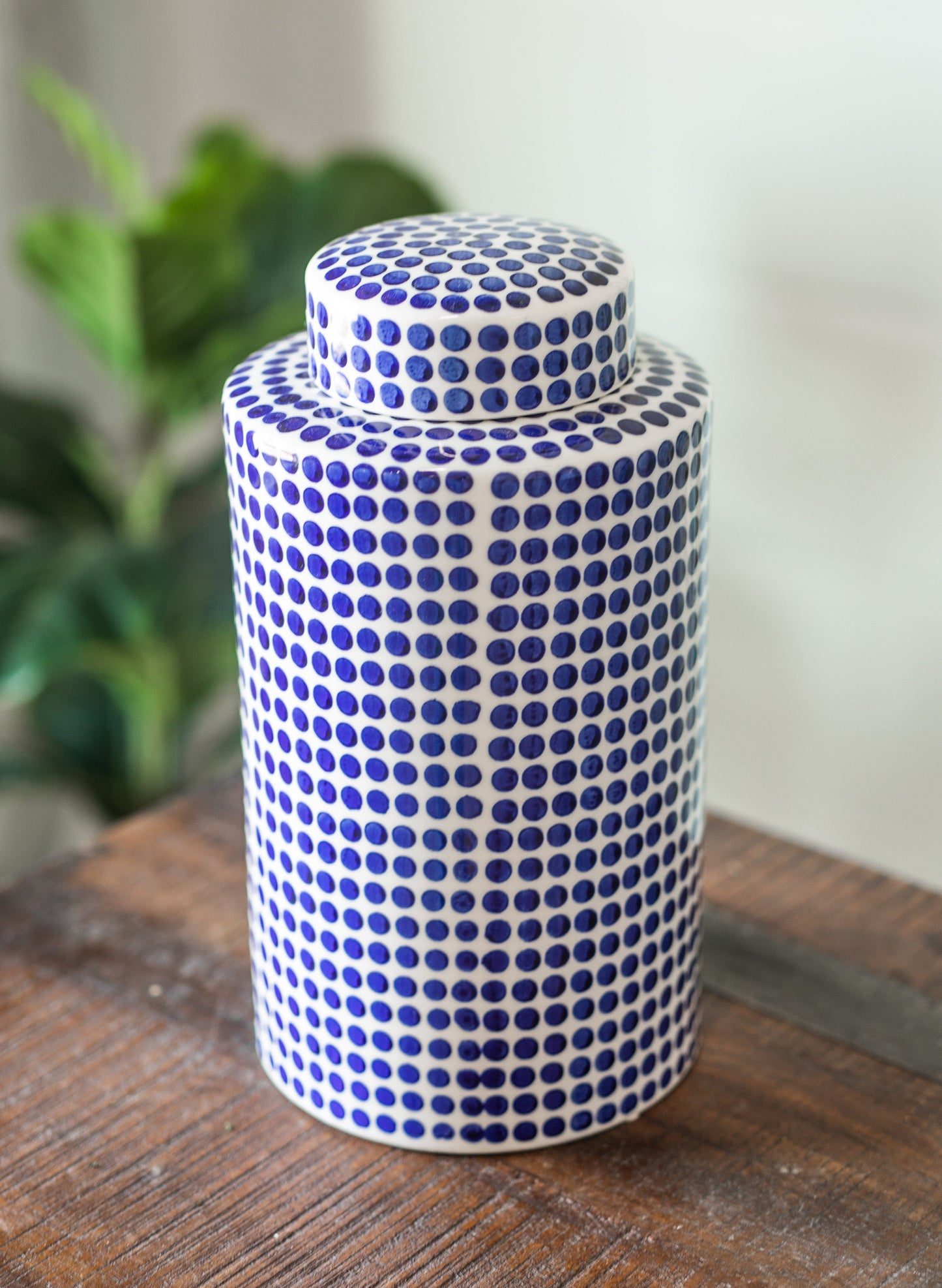 BB Dover Dot Collection