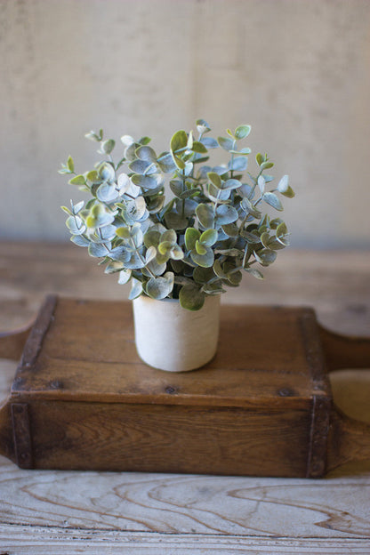 Faux Boxwood Sage in Cement Pot