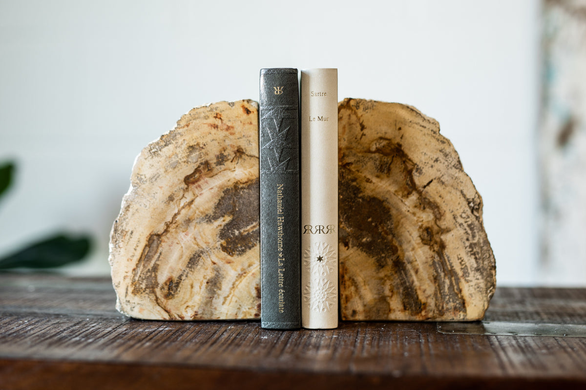 Petrified Wood Bookend Pair