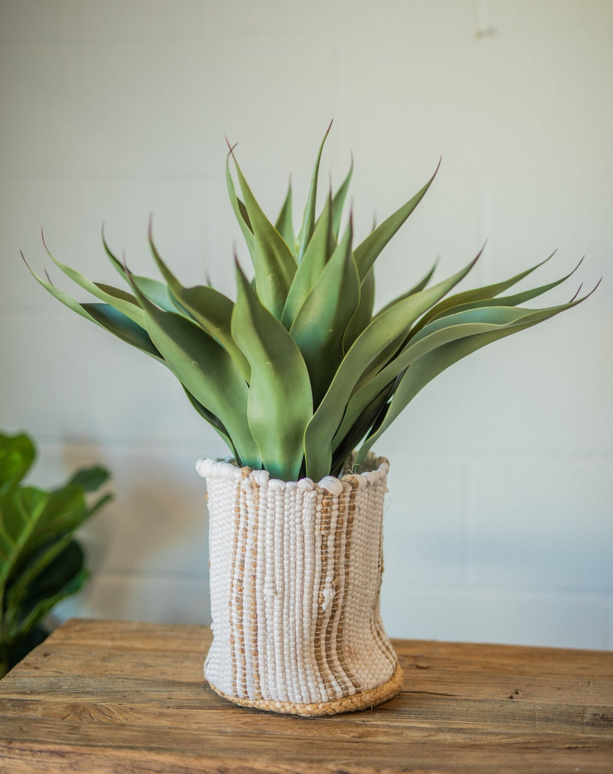 Faux Agave Plant in Pot